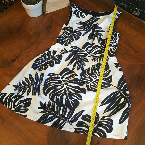 Akira Chicago Dress - Picture 5 of 5